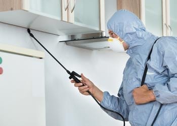 Hoek Modular Homes Home Maintenance Musts Pest Control